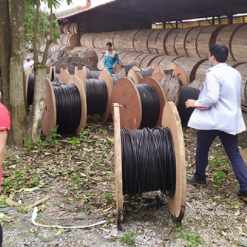 Cáp quang cống kim loại 8Fo ( 8 sợi , 8 core ) 2