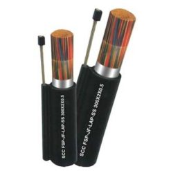 Cáp điện thoại 30 đôi 3