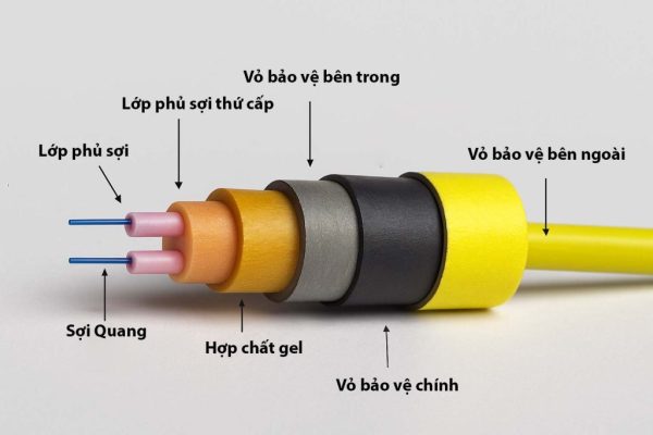 Báo Giá Dây Nhảy Quang Mới Nhất 2026 Và Cách Chọn Loại Phù Hợp